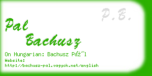 pal bachusz business card